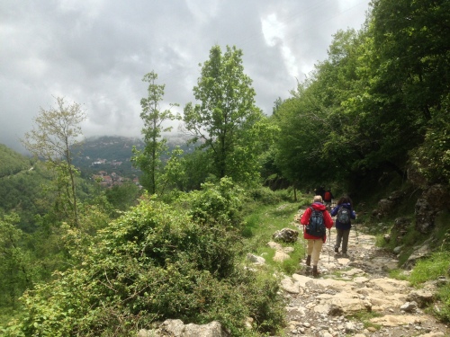 Descending into the Agerola basin on Amalfi walks.